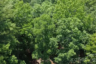 4691 Snowhill Church Rd, Morganton, NC 28655 - Photo 23