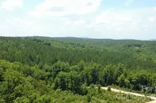 4691 Snowhill Church Rd, Morganton, NC 28655 - Photo 13
