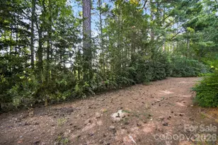 16316 Redstone Mountain Ln, Charlotte, NC 28277 - Photo 29