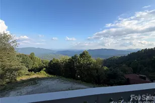 316 Grassy Mountain Rd, Little Switzerland, NC 28749 - Photo 5