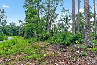 Tbd Antioch Road, Lake Lure, NC 28746 - Photo 19
