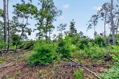 Tbd Antioch Road, Lake Lure, NC 28746 - Photo 21