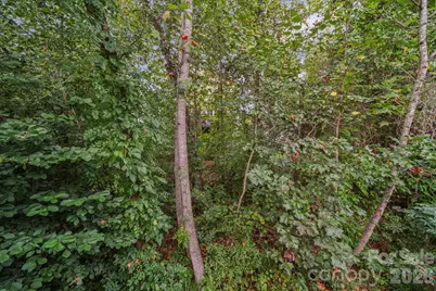 7712 Woodcrest Drive, Stanley, NC 28164 - Photo 31