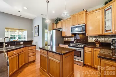15619 Carrington Ridge Drive, Huntersville, NC 28078 - Photo 13