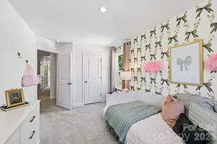 7551 Ethora Wy, Charlotte, NC 28216 - Photo 9