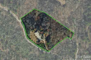 220 Wingfield Way, Brevard, NC 28712 - Photo 45