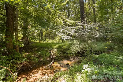 400 Laurel Drive, Saluda, NC 28773 - Photo 33