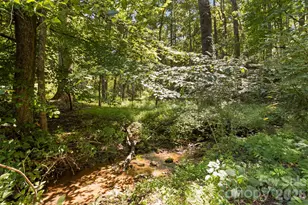 400 Laurel Dr, Saluda, NC 28773 - Photo 33