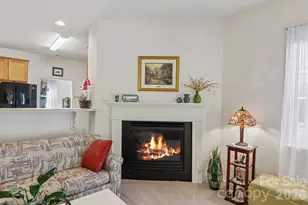 73 Foxtail Ct, Hendersonville, NC 28792 - Photo 9