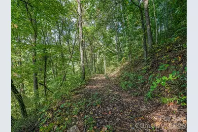 Tbd Robinhood Road #2, Asheville, NC 28804 - Photo 11