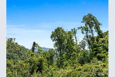 Tbd Robinhood Road #2, Asheville, NC 28804 - Photo 39