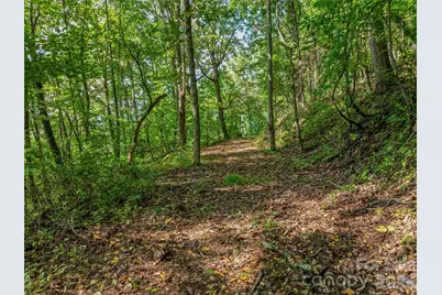 Tbd Robinhood Road #2, Asheville, NC 28804 - Photo 13