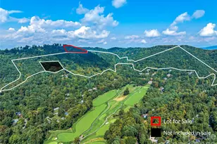 Tbd Robinhood Rd, Asheville, NC 28804 - Photo 1