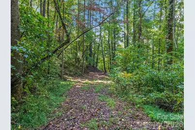 Tbd Robinhood Road #2, Asheville, NC 28804 - Photo 5