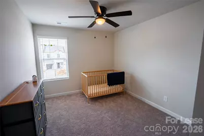 508 Tayberry Lane, Fort Mill, SC 29715 - Photo 11