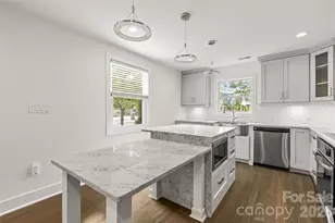 442 Lorna St, Charlotte, NC 28205 - Photo 13