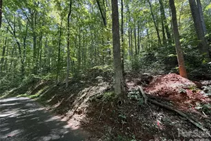 114 High Pines Loop, Lake Lure, NC 28746 - Photo 11