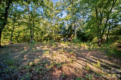 2089 Bison Trail, Maiden, NC 28650 - Photo 35