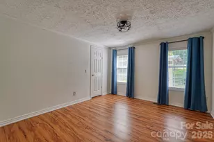123 Little Rock Wy, Mill Spring, NC 28756 - Photo 19