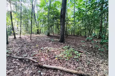 7865 Long Bay Parkway, Catawba, NC 28609 - Photo 17