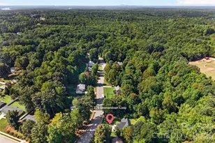 229 Shenandoah Loop, Troutman, NC 28166 - Photo 43