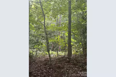 Lot 4 Edgewood Road, Wilkesboro, NC 28670 - Photo 3