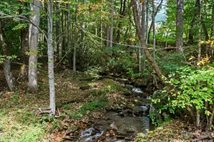 72 Cottontail Trail, Maggie Valley, NC 28751 - Photo 29