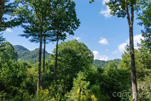 319 Dancing Leaf Ln, Bakersville, NC 28705 - Photo 13