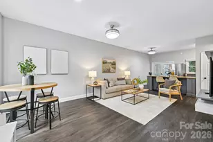 316 W 10th St, Charlotte, NC 28202 - Photo 5