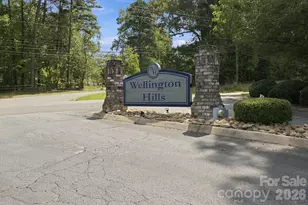 102 Wellington Hills Cir, Salisbury, NC 28147 - Photo 19