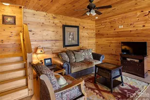 10 Cougar Ln, Maggie Valley, NC 28751 - Photo 31