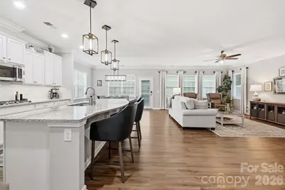 317 Picasso Trail, Mount Holly, NC 28120 - Photo 3