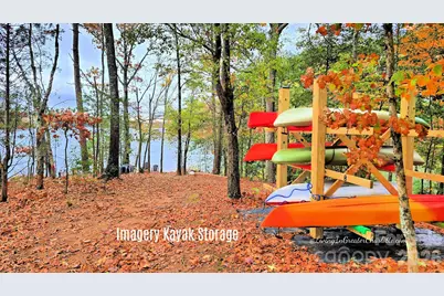 317 Picasso Trail, Mount Holly, NC 28120 - Photo 39