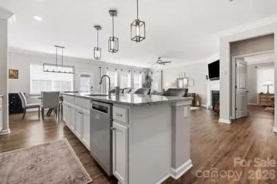 317 Picasso Trail, Mount Holly, NC 28120 - Photo 9