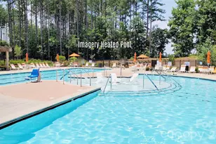 317 Picasso Trl, Mount Holly, NC 28120 - Photo 41