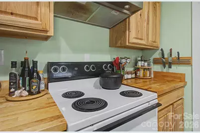 60 Riddle Road, Swannanoa, NC 28778 - Photo 23