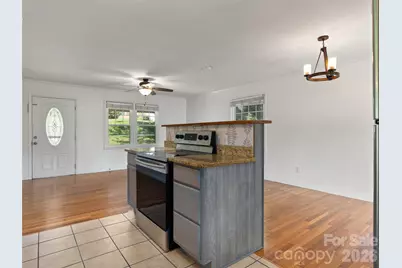 483 Thompson Street, Canton, NC 28716 - Photo 9
