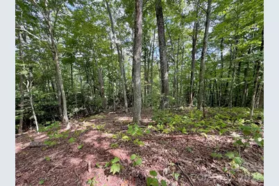 Tbd Galax Lane #45, Banner Elk, NC 28604 - Photo 7
