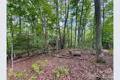 Tbd Galax Lane #45, Banner Elk, NC 28604 - Photo 1