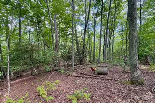 Tbd Galax Ln, Banner Elk, NC 28604 - Photo 1