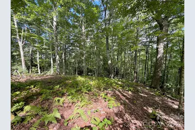 Tbd Galax Lane #45, Banner Elk, NC 28604 - Photo 13