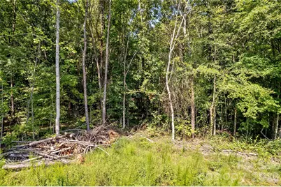 0 Roy Cline Road, Rockwell, NC 28138 - Photo 17