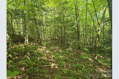 000 Sugar Fork Road, Sylva, NC 28779 - Photo 13