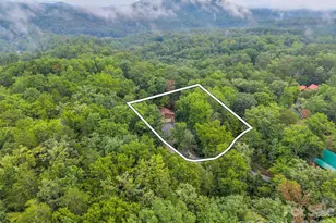 344 Wolf Trail, Lake Lure, NC 28746 - Photo 37