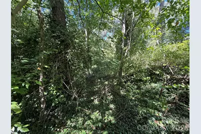 99999 Roebling Circle #40, Asheville, NC 28803 - Photo 11