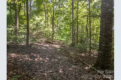 267 Morning Glory Lane, Marshall, NC 28753 - Photo 41