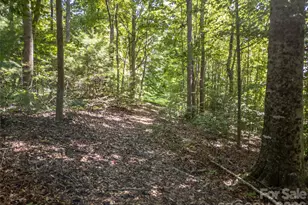 267 Morning Glory Ln, Marshall, NC 28753 - Photo 41