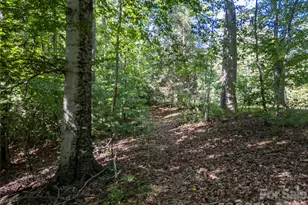 267 Morning Glory Ln, Marshall, NC 28753 - Photo 37