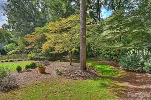 11925 Braid Hills Dr, Charlotte, NC 28277 - Photo 45