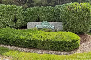 2008 Deep Woods Dr, Hendersonville, NC 28739 - Photo 5